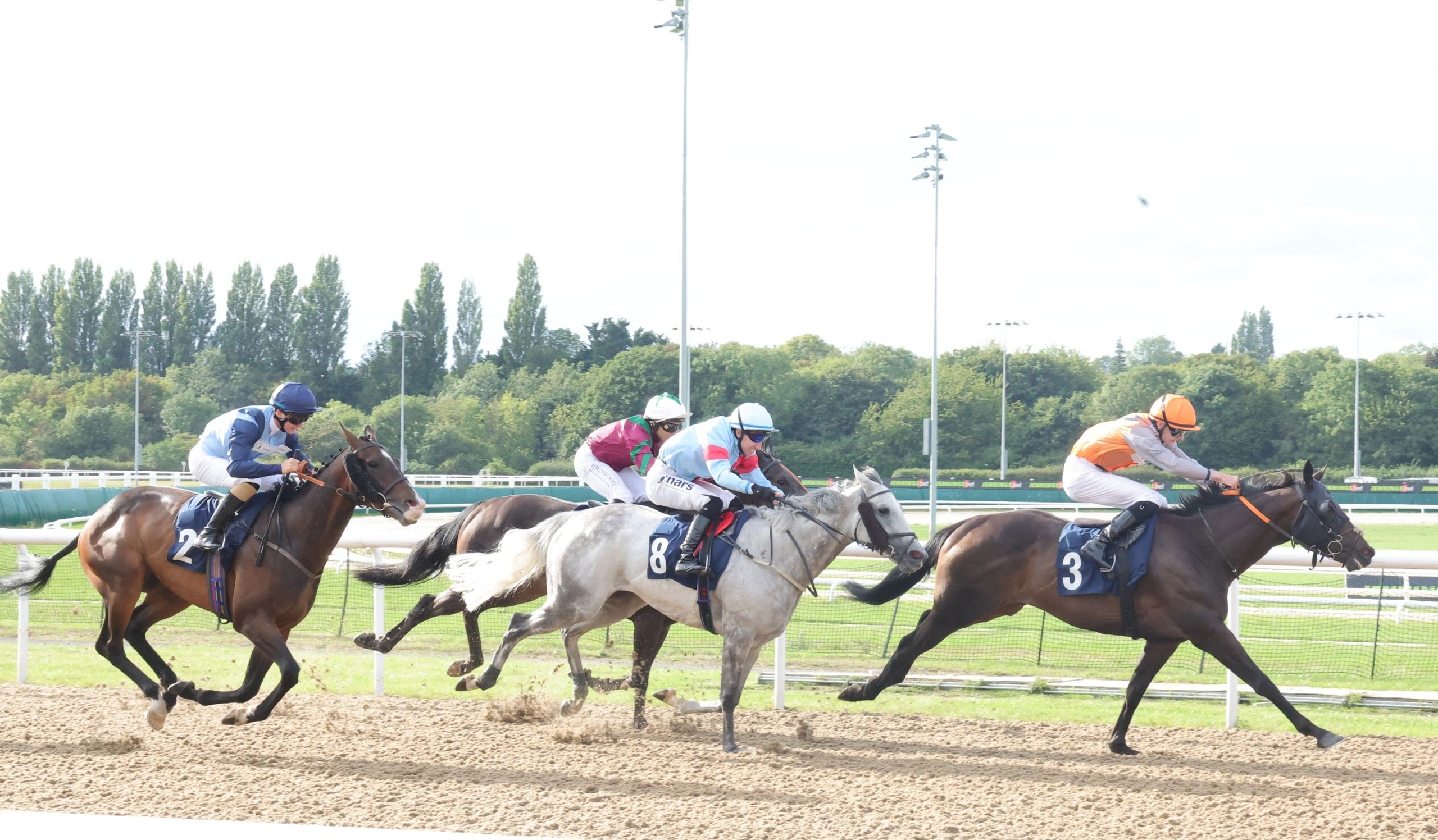 Mintana is 2nd at Wolverhampton 