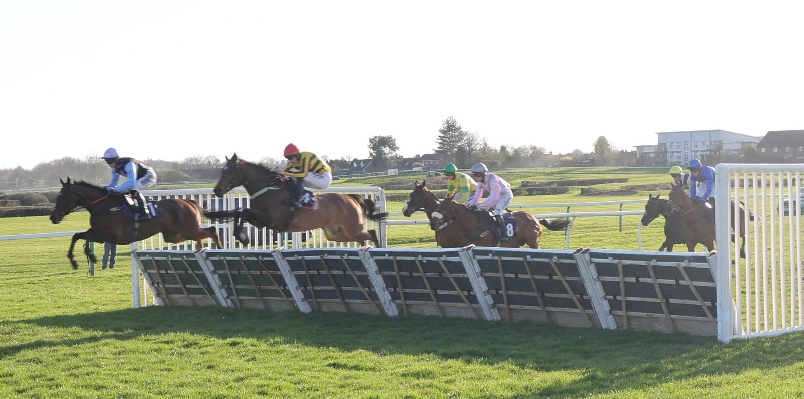 Horse race with jockeys jumping fences on a sunny day.