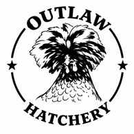 outlawhatchery.com