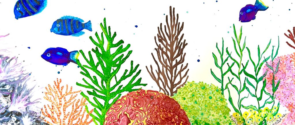 Coral Reef