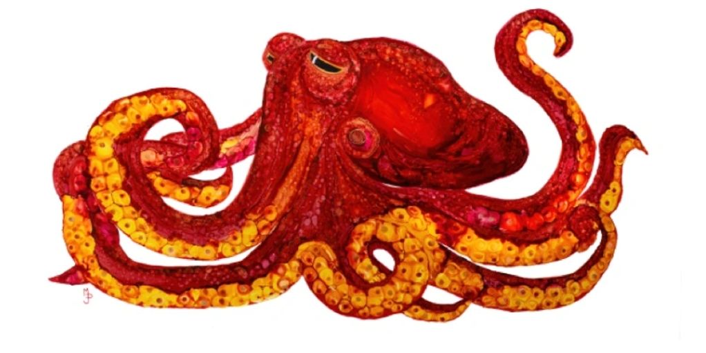 Red Octopus