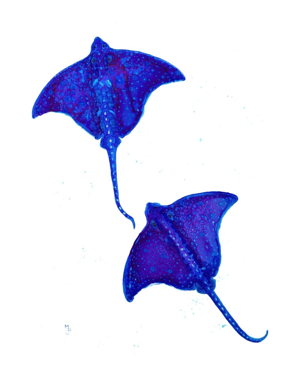 Blue Spotted Stingrays