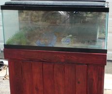 used aquarium installation