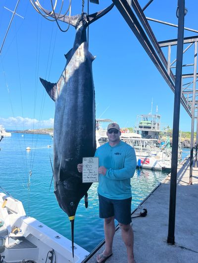 Weighing a record blue marlin trophy