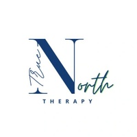 True North Therapy

