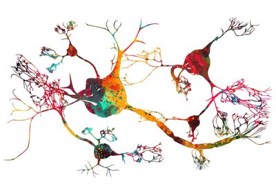 Watercolour Painting of brain cells (neurons) connecting 