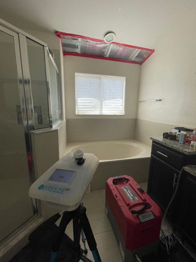 Mold removal companies orlando.