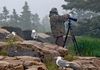 Butch photographing at Schoodic Point in Maine