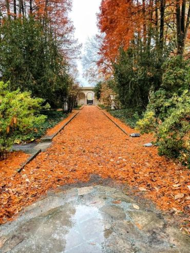 A leaf-strewn path in an autumn garden.