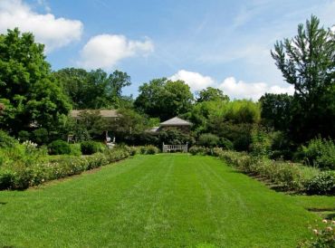 A lush green garden with a pathway and trees.