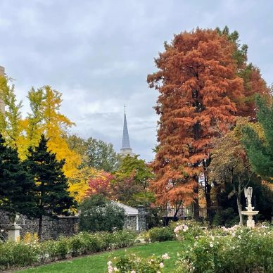 Autumn garden with colorful trees and church steeple.