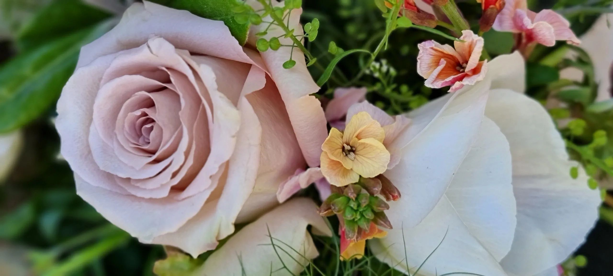 Contact Us Rose Tinted Vases