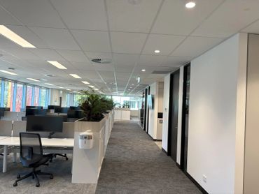 Modern office space with workstations and plants.