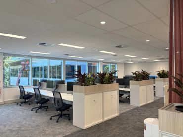 Modern office workspace with plants and natural light.