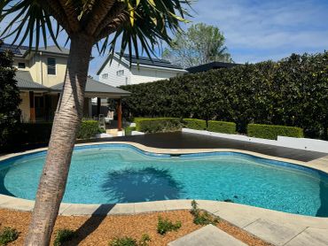 Residential backyard pool on a sunny day.