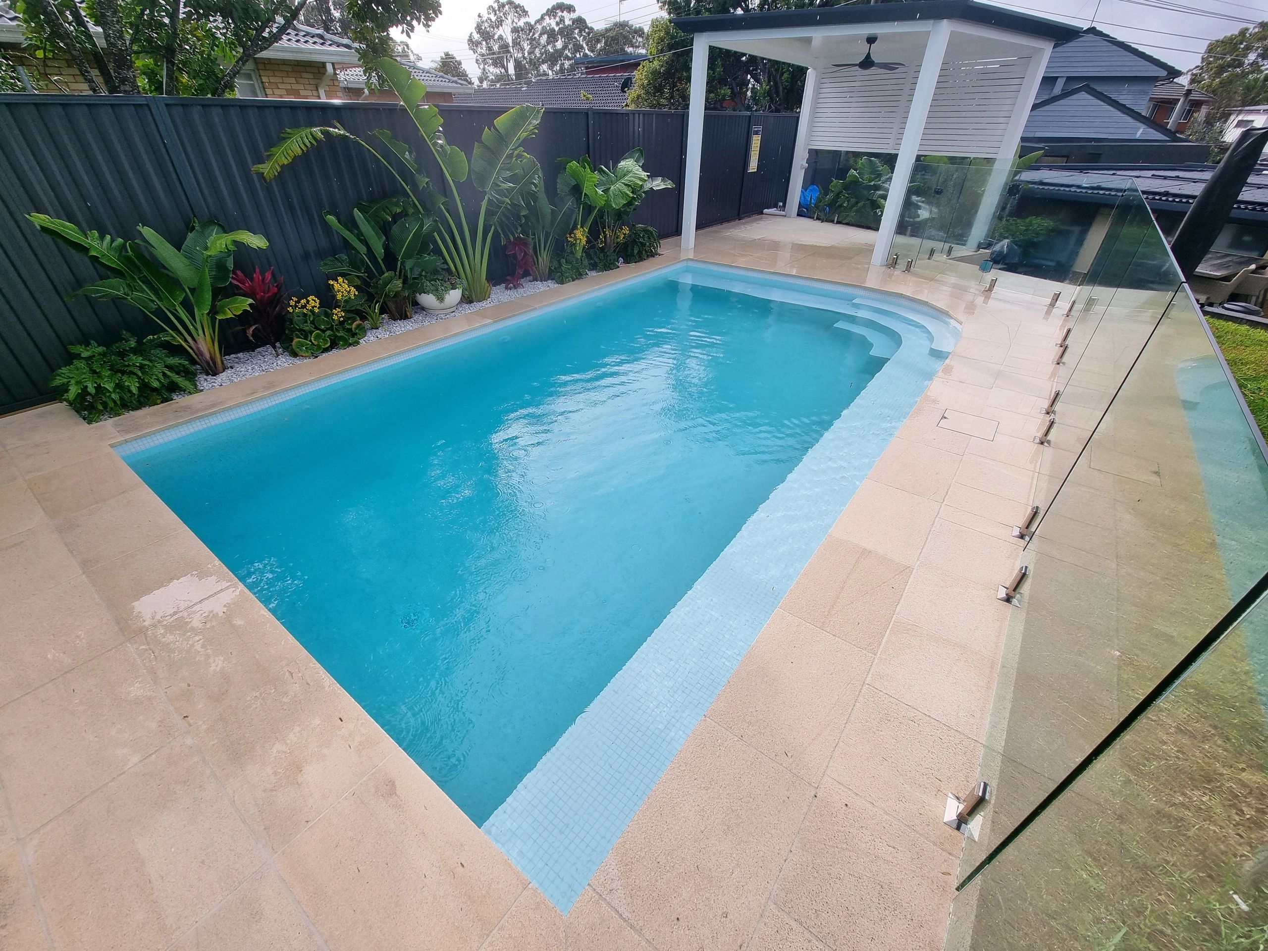 Modern backyard pool with glass fence and lush plants.