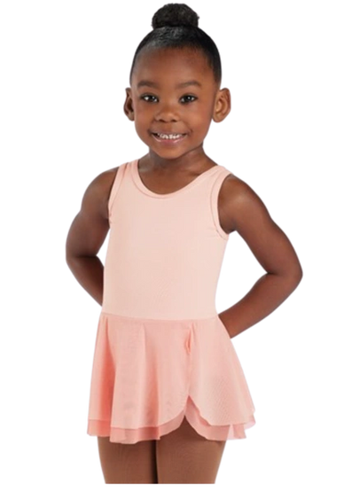 Dancers: Dance Leotard ANY COLOR, ballet pink tights, soft pink CANVAS or LEATHER ballet shoes. Skir