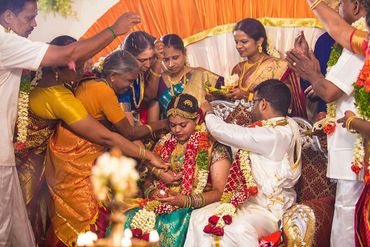Groom tying thali during Tamil wedding ceremony in Karaikudi by Luster Pearl Media.