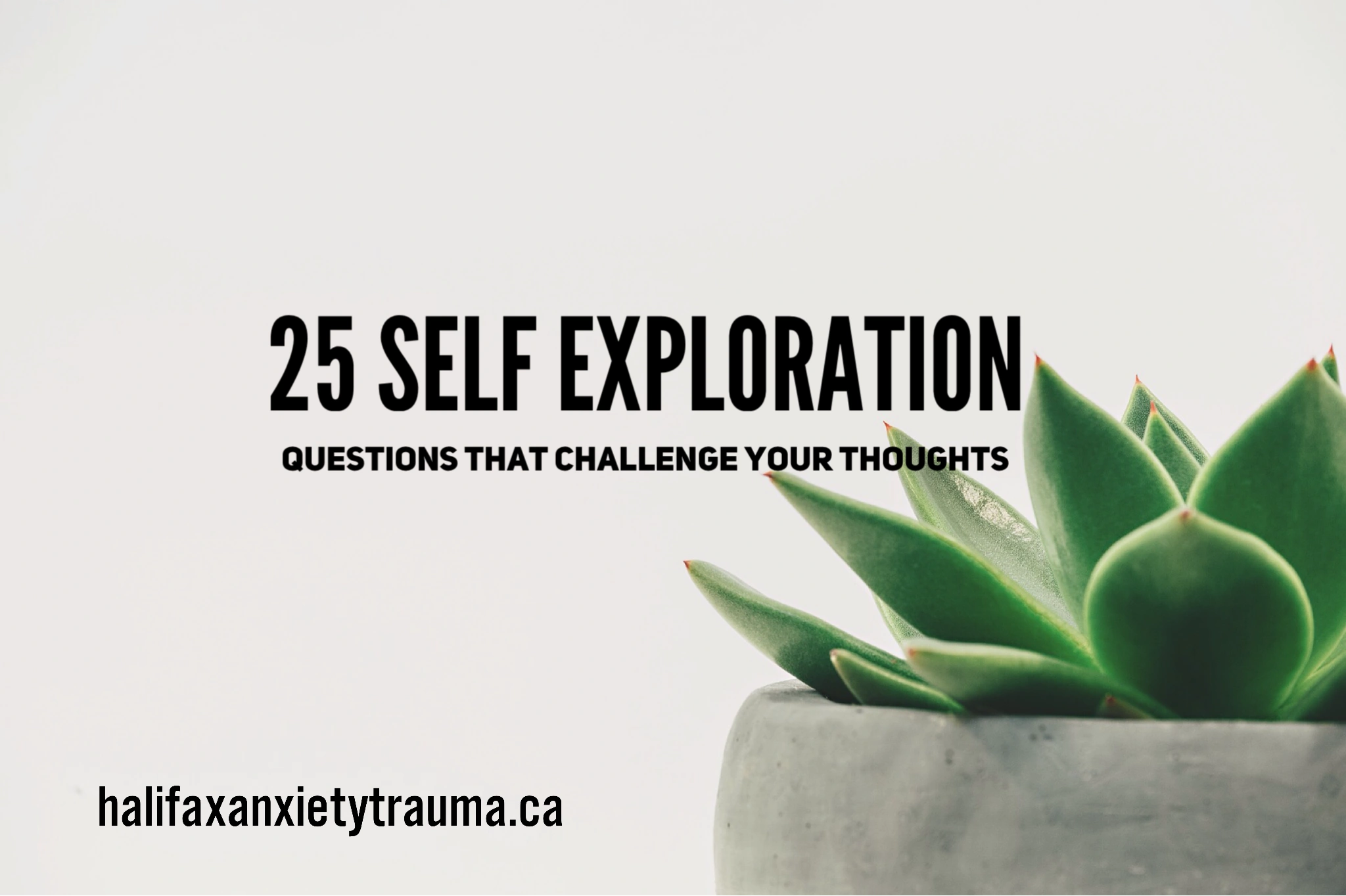 25 Self Exploration Questions