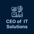 CEO of  IT Solutions