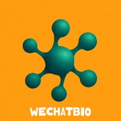 WeChat Bio