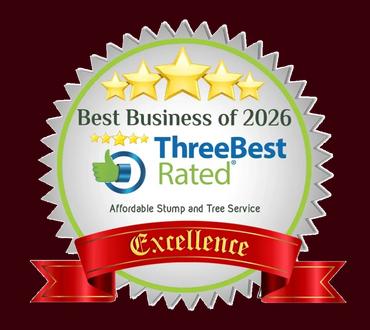 ThreeBestRated Best Business of 2026 award Chandler, AZ