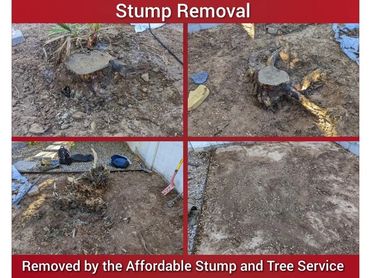 Before and after comparison of a tree stump grinding job in a yard in Chandler, AZ.