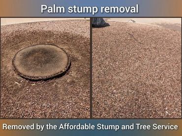 Palm tree stump completely ground away and covered flat with desert landscape gravel in Chandler, AZ