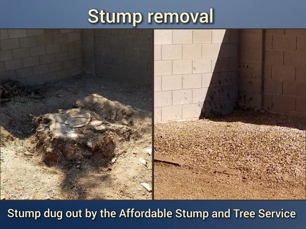 Before-and-after photo of a Sumac stump removal.