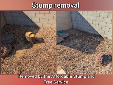 Before and after comparison of a tree stump grinding job in a yard in Chandler, AZ.
