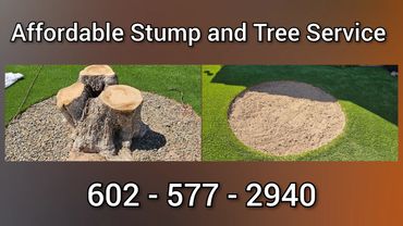 Before-and-after photo of a stump removal.