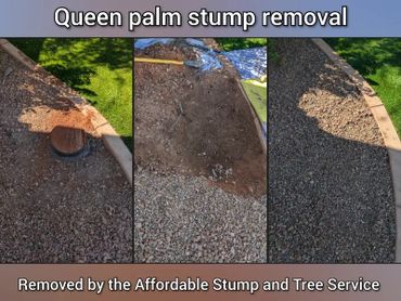 Before and after comparison of a queen palm stump removal in a gravel landscape in Chandler, AZ.