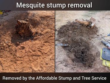 Before and after comparison of a mesquite tree stump grinding job in a yard in Chandler, AZ.