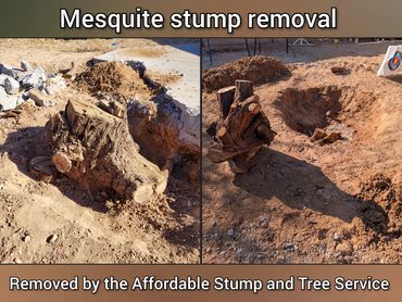 Before-and-after photo, in Chandler, Mesquite stump removal, backyard