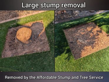 Before-and-after photo, in Chandler,  Ficus stump removal, backyard, artificial grass