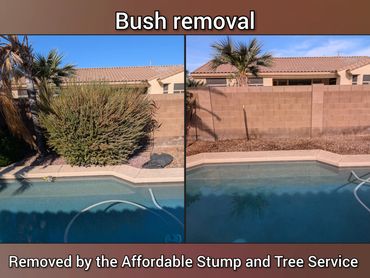 Before-and-after photo, in Chandler, sage bush removal, pool.