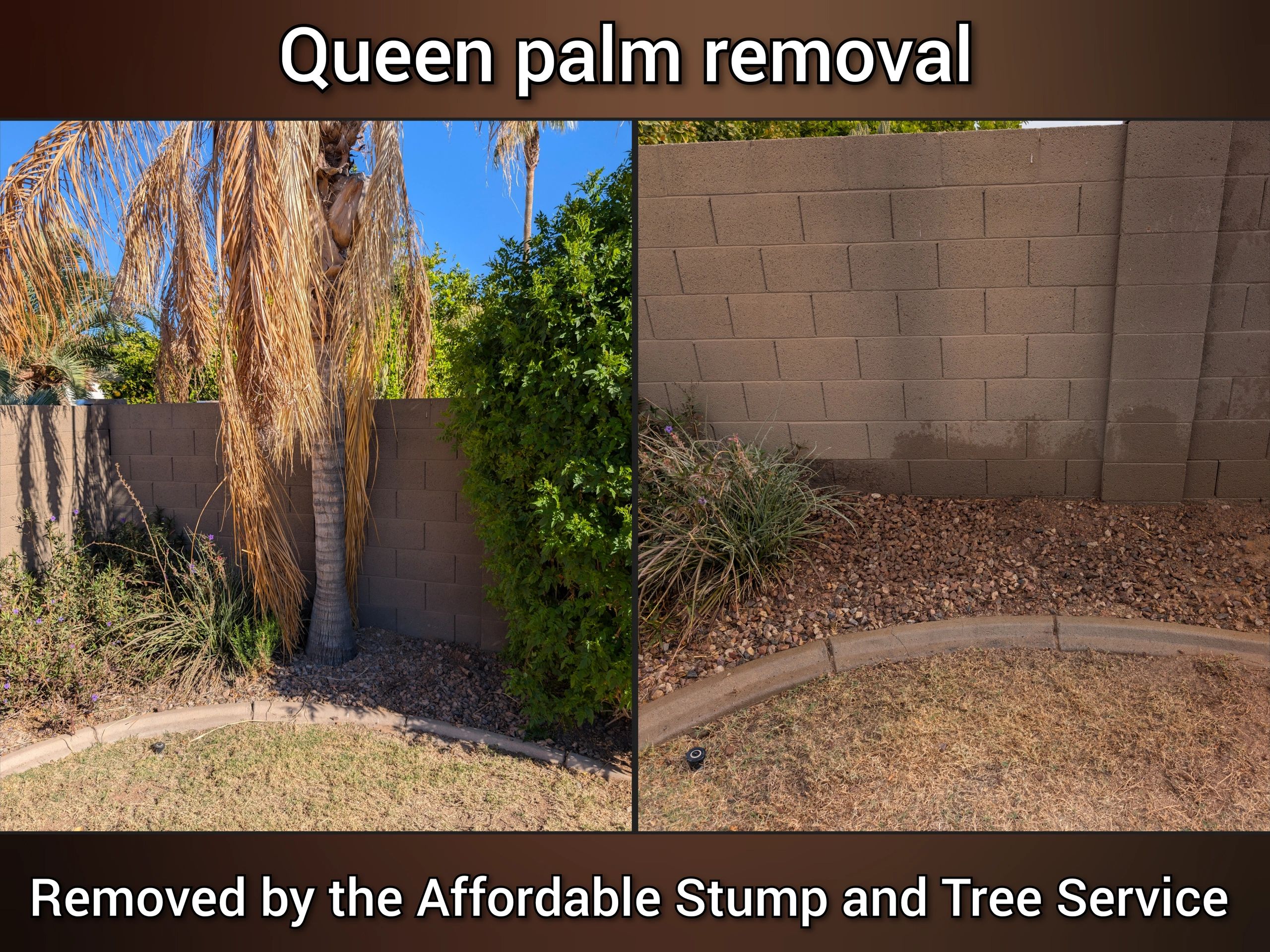 Before-and-after photo Queen palm removal in Chandler, AZ – backyard cleanup
