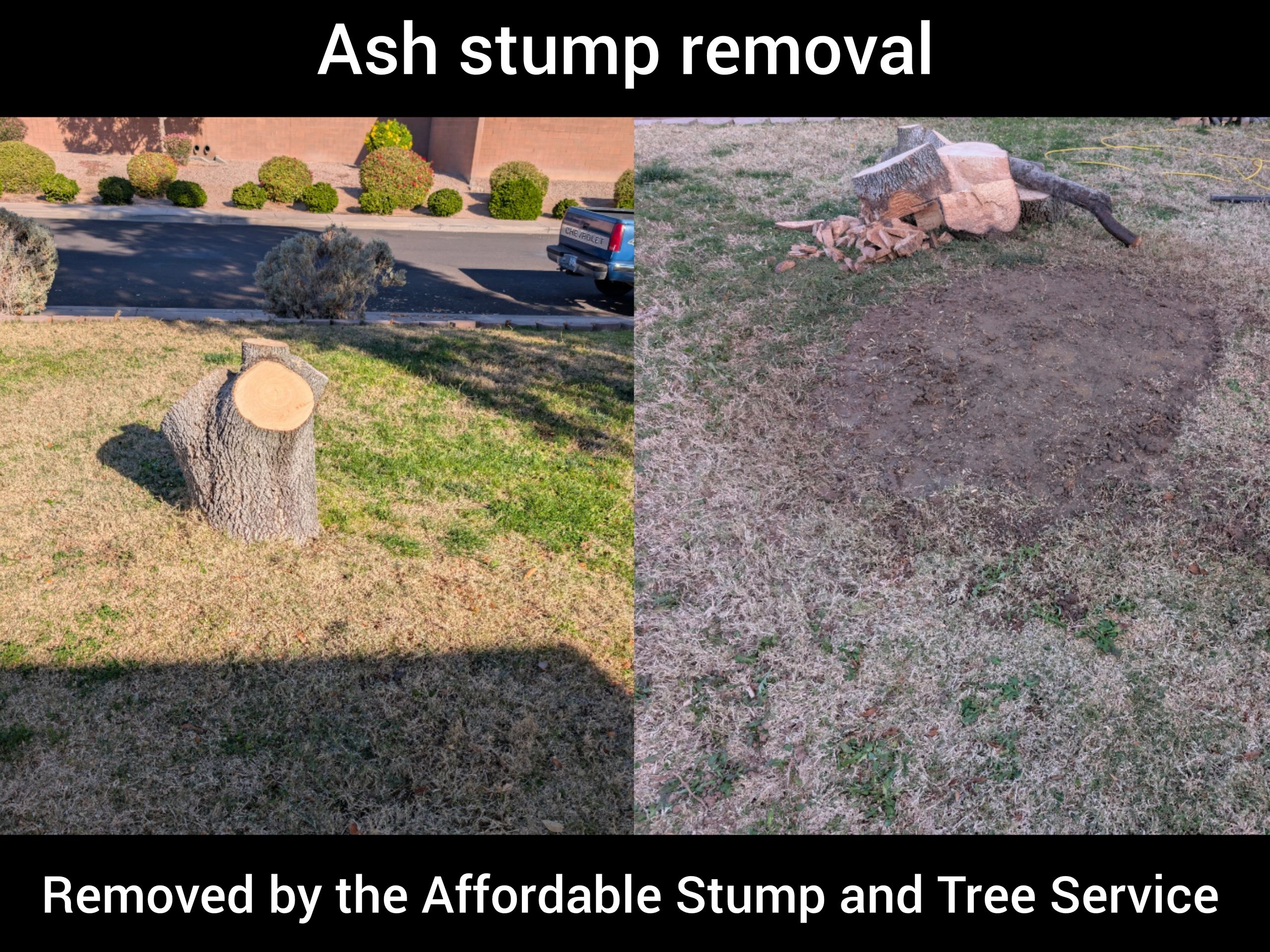 Before and after photo, in Chandler – Ash stump removal, front yard cleanup