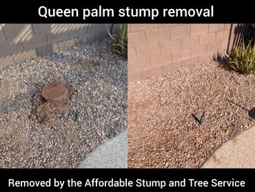 Before and after comparison of a Queen palm tree stump grinding job in a yard in Chandler, AZ.