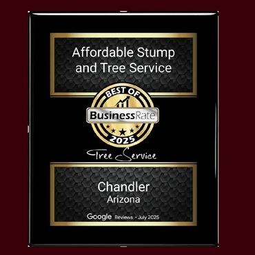 Local service award recognizing Affordable Stump and Tree Service in Chandler, AZ for top-rated stum
