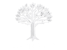 Pecan Creative