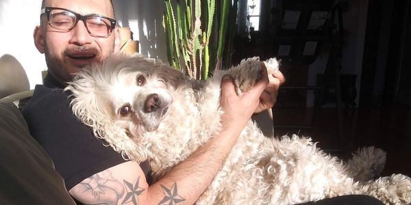 Dog walker holding a cocker spaniel in his lap. 