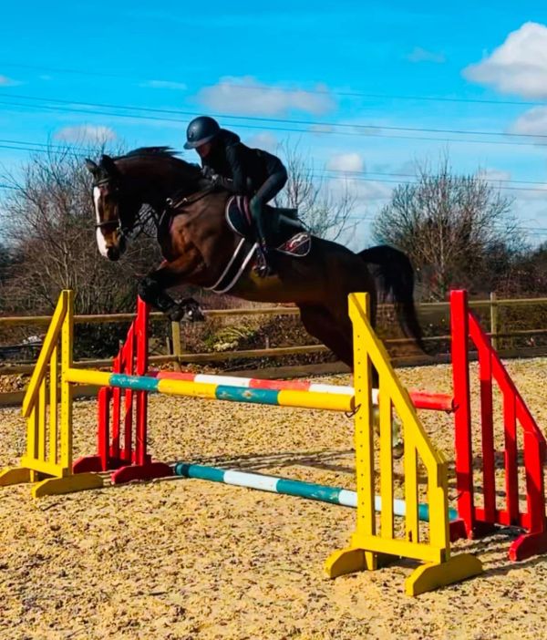 Equestrian jumping over colorful obstacle in sunny outdoor arena.