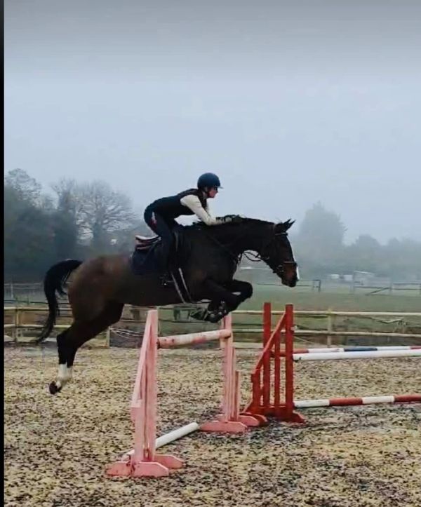 Horse and rider jumping over an obstacle in an outdoor arena.