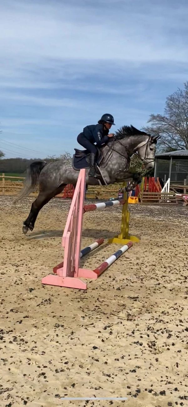 A rider and grey horse jump over an obstacle in an outdoor arena.