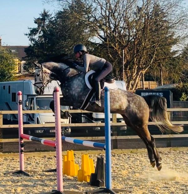 A rider and horse gracefully jumping over a colorful obstacle in an outdoor arena.