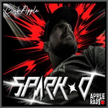 DJ Spark D image