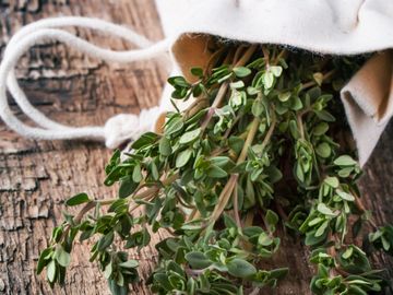 Thyme inside a bag
