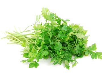 A bunch of parsley