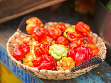 A basket of chili peppers